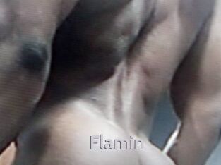 Flamin