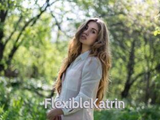 FlexibleKatrin