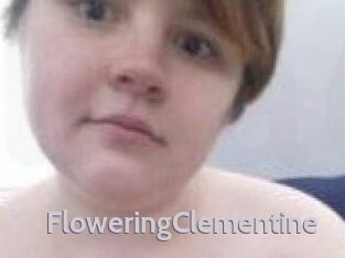 FloweringClementine