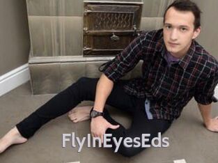 FlyInEyesEds