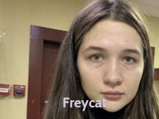 Freycat