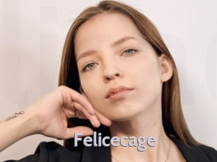 Felicecage