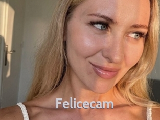Felicecam