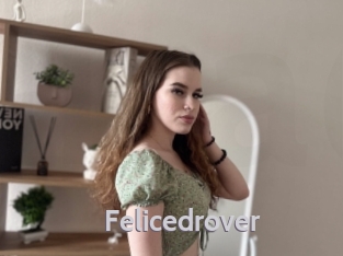 Felicedrover