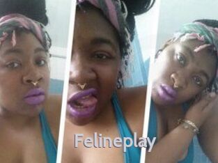 Felineplay
