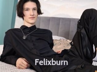 Felixburn