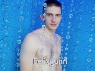 Felixgunn