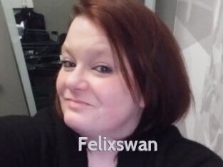 Felixswan