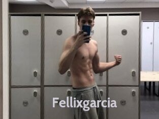 Fellixgarcia