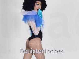 Fenixteninches