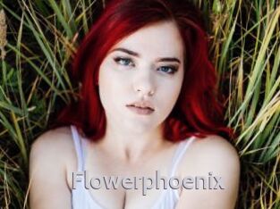 Flowerphoenix