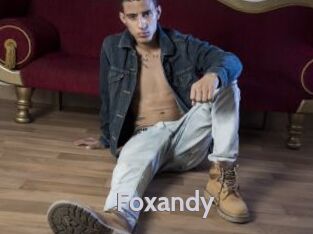 foxandy Live Cam 66