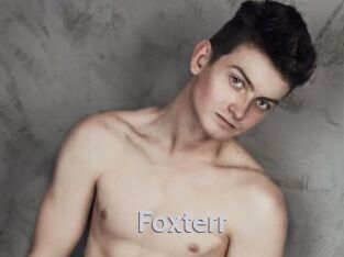Foxterr