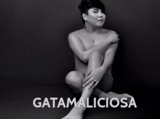 GATAMALICIOSA