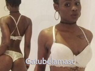 Gatubela_masc Live Cam 66