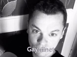 Gayminet