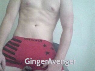 GingerAvenger
