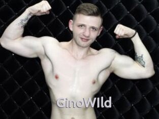 GinoWIld Live Cam 66