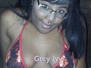 Grey_Ivy