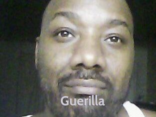 Guerilla Live Cam 66