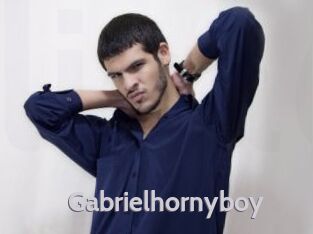 gabrielhornyboy Live Cam 66