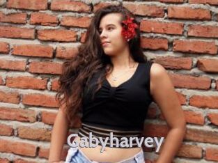 Gabyharvey