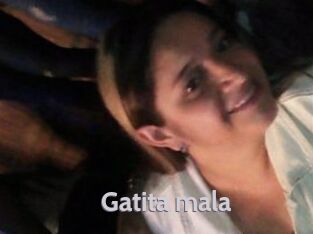 Gatita_mala