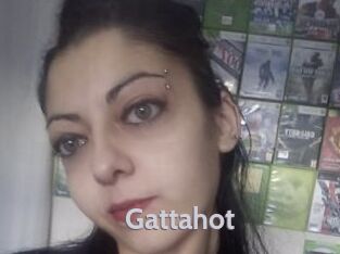 Gattahot
