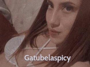 Gatubelaspicy