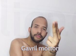 Gavril_morton