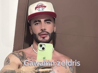 gawainn_zeldris Live Cam 66