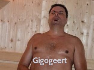 gigogeert Live Cam 66