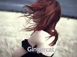 Gingercat
