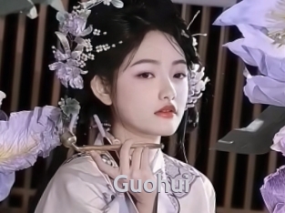 Guohui