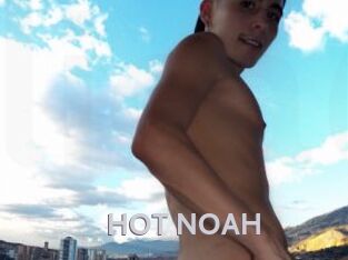 HOT_NOAH