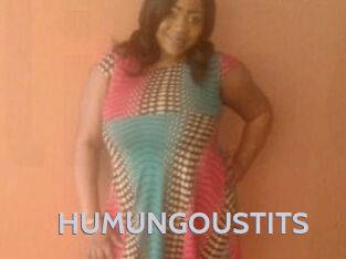 HUMUNGOUSTITS Live Cam 66