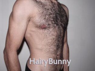 HairyBunny