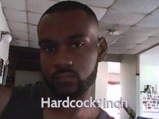 Hardcock9inch