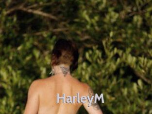 HarleyM