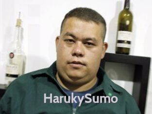 Haruky_Sumo Live Cam 66