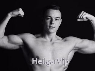 HeilgarVip