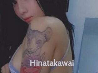 Hinatakawai Live Cam 66