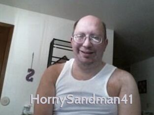 HornySandman41 Live Cam 66