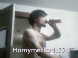 Hornymechanic334 Live Cam 66