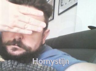Hornystijn