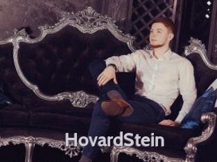 HovardStein Live Cam 66
