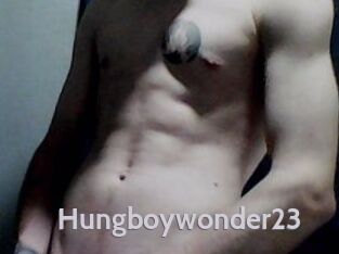 Hungboywonder23