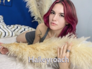 Haileyroach