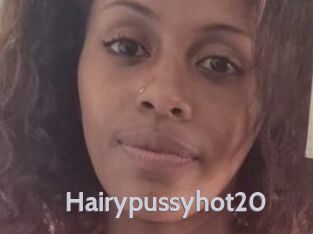 Hairypussyhot20