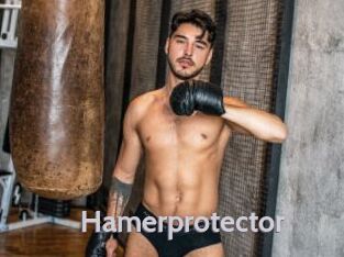 Hamerprotector